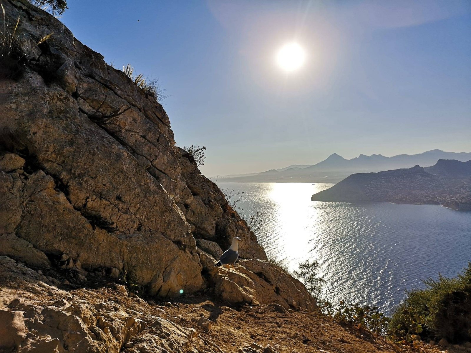 Penon de Ifach hike Seagull