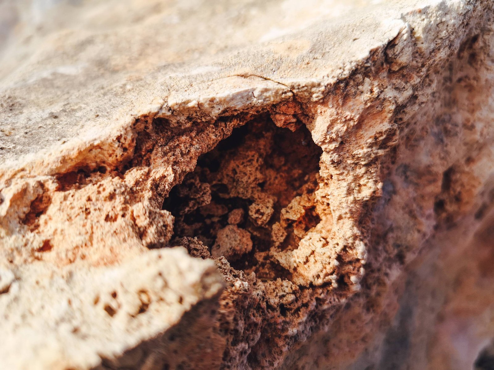 Rocks of fossil coral atoll of Santa Pola in Costa Blanca, Spain