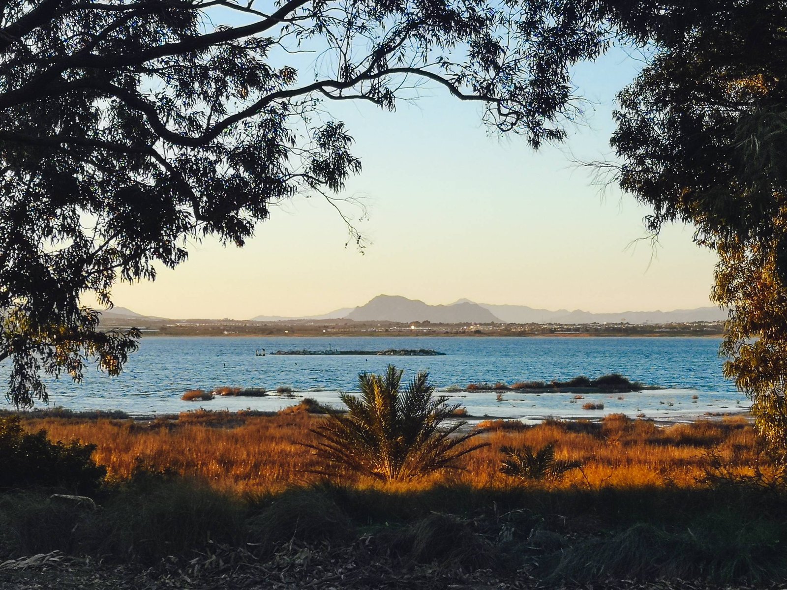 Birds at La Mata Salt Lagoon in Costa Blanca, Spain