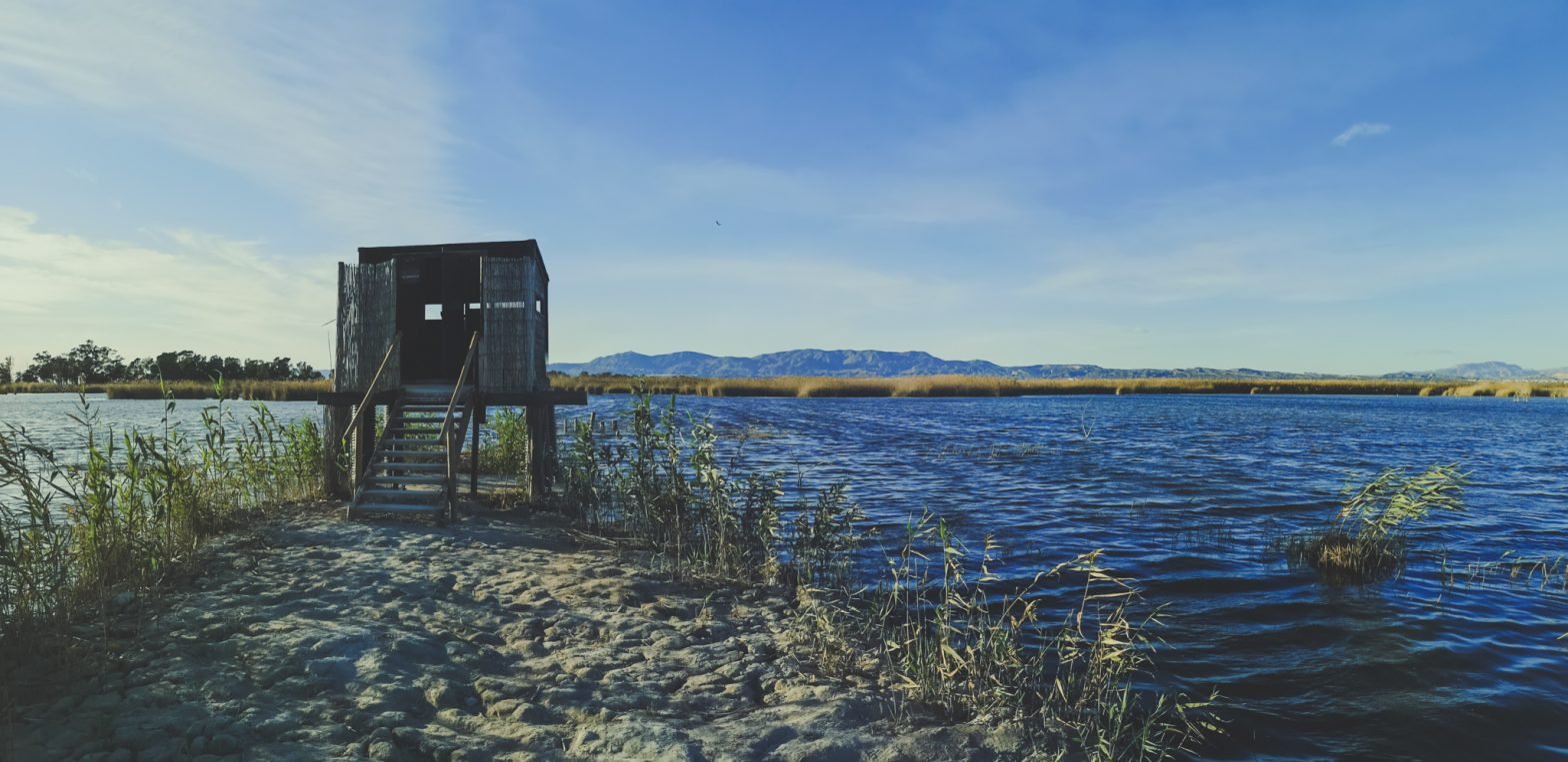 Birding cabin El Hondo Nature Park, Spain