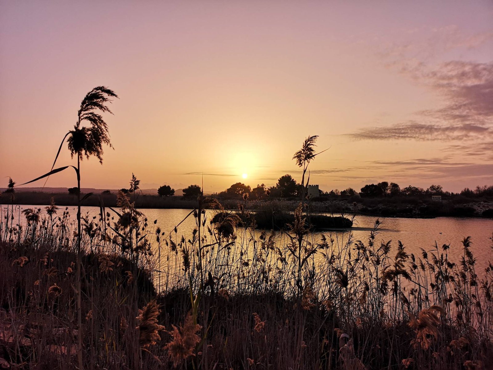 Segura river delta in Guardamar, Spain