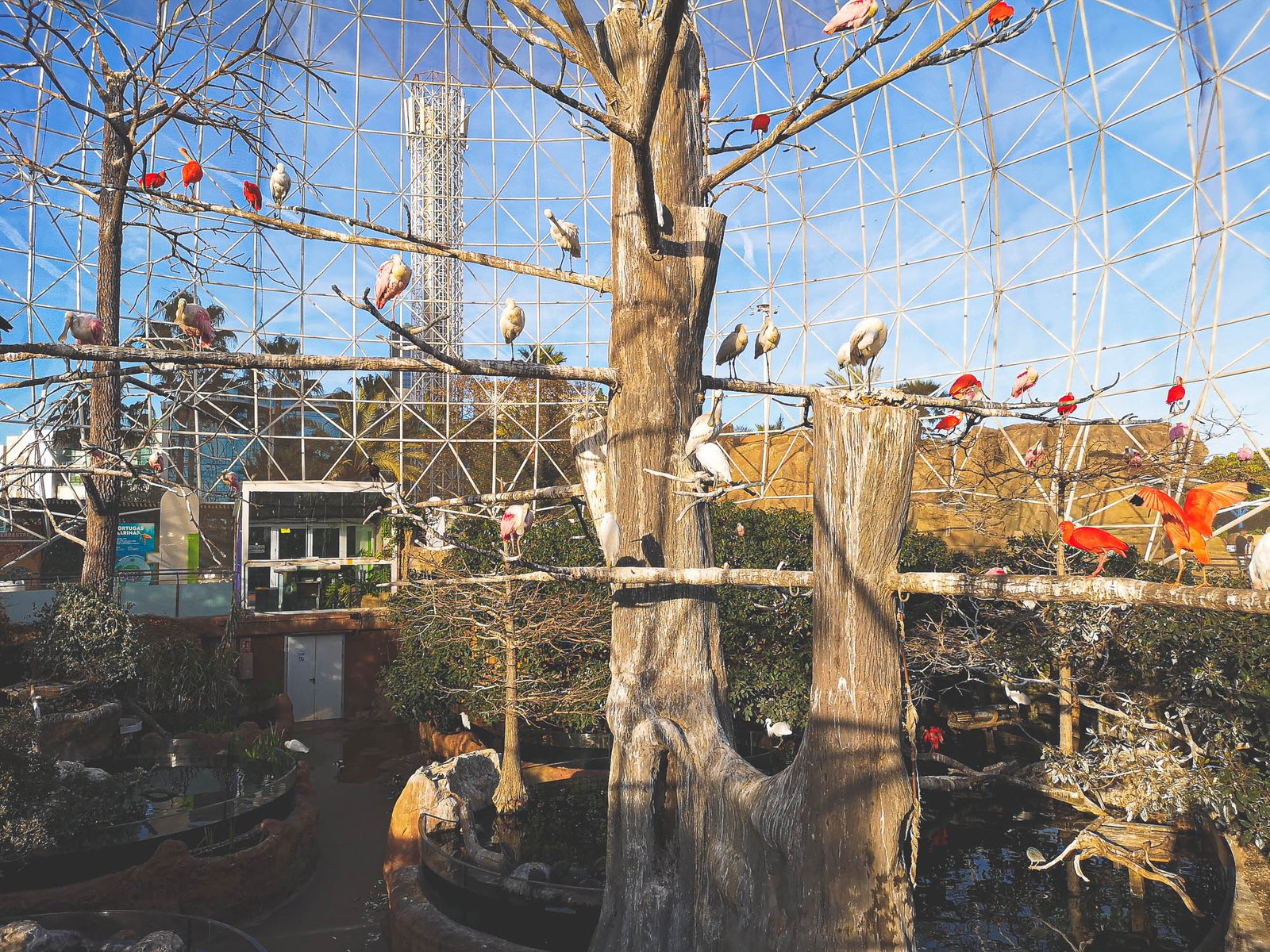 Aviary/Wetlands pavilion in the Oceanographic in Valencia, Spain