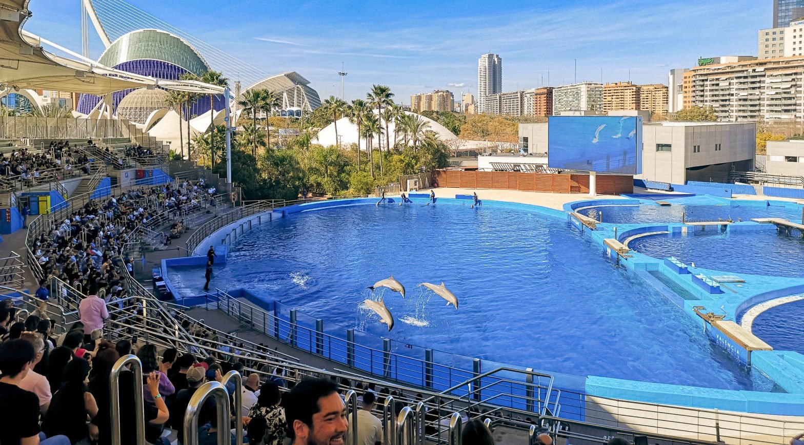 Dolphinarium in the Oceanographic Aquarium, Valencia, Spain