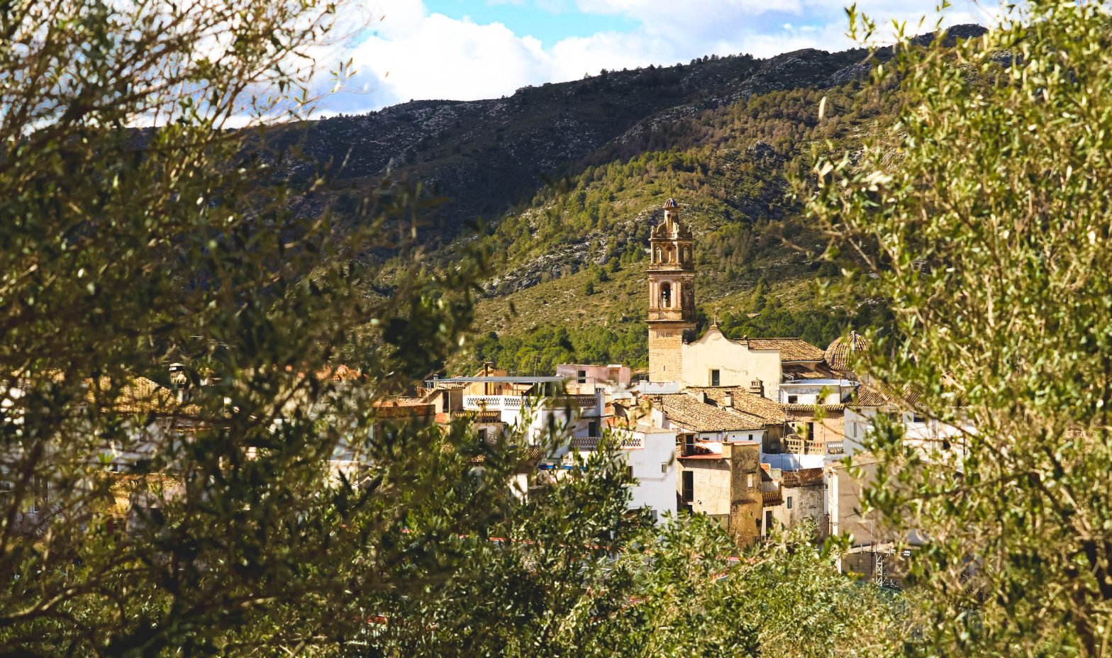 Belltower of Benissiva surrounded by olive trees in La Vall de Gallinera, Marina Alta, Spain