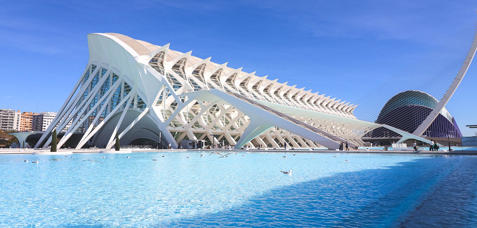 City of Arts and Sciences: Valencia’s Architectural Masterpiece